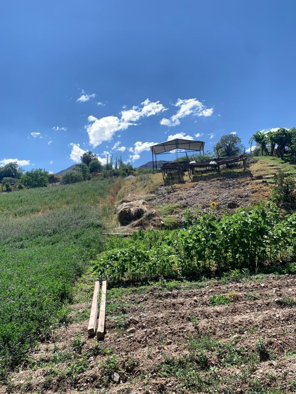 Cabana Cortaderas Mi Campito Cachi Salta 外观 照片